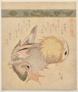 Paar mandarijneenden door Totoya Hokkei