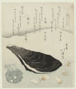 Plevierschelpjes, rauwe mossel en brokaat schelp door Totoya Hokkei