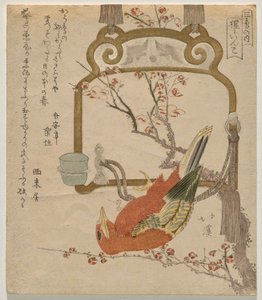 Rode Parkiet (Shōjō-inko)