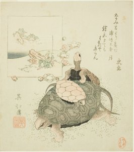 Zeeschildpadden en Urashima Taro door Totoya Hokkei