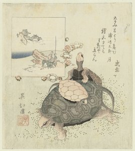 Schildpadden
