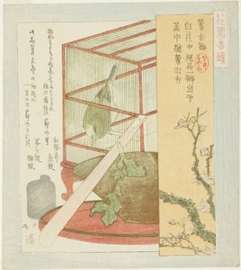 Zanger in een Kooi, uit de serie "Een Serie voor de Hanazono Groep (Hanazono bantsuzuki)" door Totoya Hokkei
