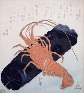Langoustine met een blok houtskool, c.1830 door Toyota Hokkei