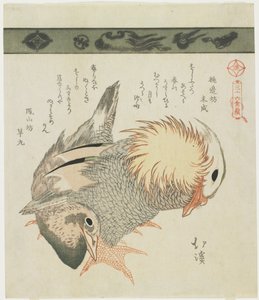 Mandarijneend en woerd, ca. 1830 door Toyota Hokkei