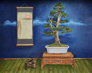 Bonsai, 2020