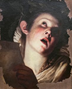 Jonge vrouw die zingt