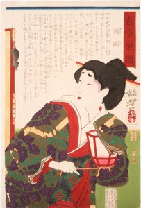  door Tsukioka Yoshitoshi