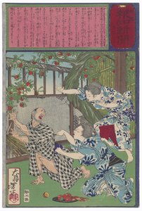  door Tsukioka Yoshitoshi