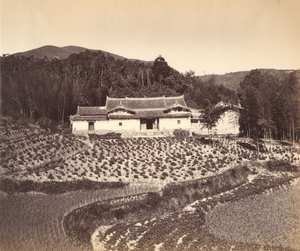 Theeveld & Josshuis bij Peling, ca. 1869 door Tung Hing.