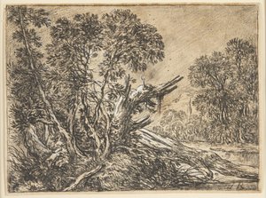 Boslandschap met een gebroken boom door Ubekendt