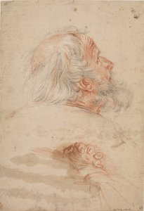 Studies van het Hoofd van een Oude Man en Gevouwen Handen