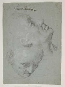 Twee studies van mannelijke gezichten door Ubekendt Ubekendt