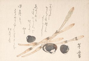 Tsukushi-plant en Shijimi-schelpen