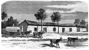 Een Boerenboerderij, Zuid-Afrika, ca. 1890 door Unbekannt