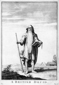Een Britse druïde