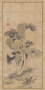 Een koolplant, late Yuan of vroege Ming-dynastie, 14e-15e eeuw door Unbekannt