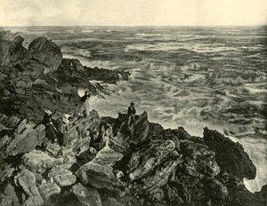 Een kustscène bij Warrnambool, 1901 door Unbekannt