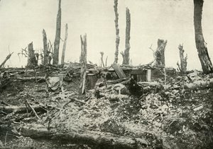 Een schuilplaats in wat eens een bos was, 1919