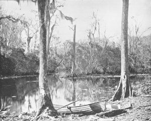 Een zijrivier van de St. Johns River, Florida, VS, c1900