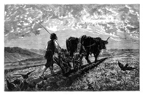 Een Franse landbouwer, ca. 1890