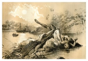 Een Angstaanjagend Incident, 1883