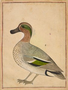 Een wintertaling, ca. 1730 door Unbekannt