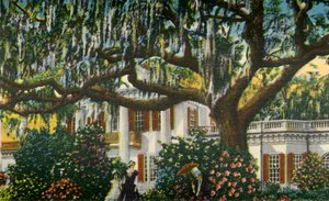 Een herenhuis in de Carolinas, 1942 door Unbekannt