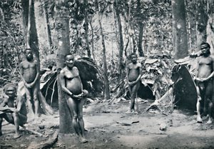 Een Pygmeeën dorp, Noordoost Congo Basin