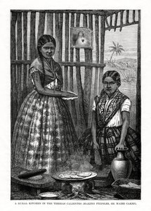 Een landelijke keuken in de Tierras Calientes, Mexico, 1877
