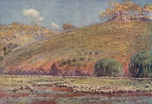 Een schapenweide, 1923