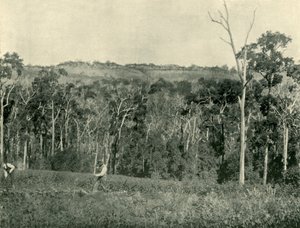 Een Victoriaanse bergboerderij, 1901 door Unbekannt