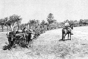 Een konvooi van wagens, Zuid-Amerika, 1895 door Unbekannt