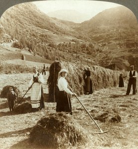 Een boerenfamilie die hooi maakt in een zonnig veld tussen de bergen, Roldal, Noorwegen, ca. 1905 door Unbekannt