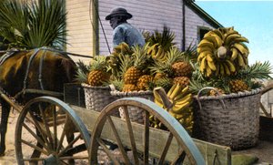 Een fruitverkoper, Taboga Island, Panama