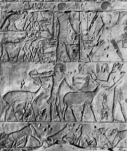 Een jachtscène uit het graf van Ptahhotep, nabij Saqqara, Egypte, ca. 2650 v.Chr. 1936 door Unbekannt
