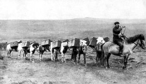 Een postkaravaan die de IJslandse vlaktes oversteekt, IJsland, 1922 door Unbekannt