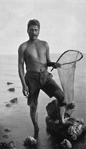 Een inheemse garnalenvisser, Hawaï, met zijn net, 1902
