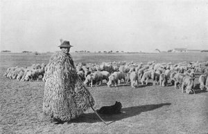 Een typische herder en zijn kudde op de vlaktes van Hongarije, 1915