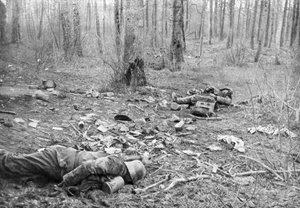 Nasleep van de gevechten in het park van Plessis-de-Roye, Picardië, Frankrijk, 30 maart 1918 door Unbekannt