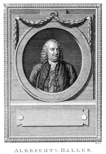 Albrecht von Haller, Zwitserse arts en wetenschapper, c1770 c1780 door Unbekannt
