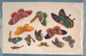 Album met twaalf schilderijen van insecten, 19e eeuw