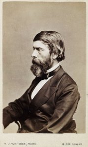 Alexander William Williamson, Schotse chemicus, ca. 1865 door Unbekannt