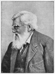 Alfred Russell Wallace, Welshe natuuronderzoeker, ca. 1895 door Unbekannt