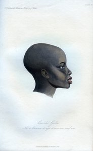 Amochi Galla, een portret van een Galla, 1848