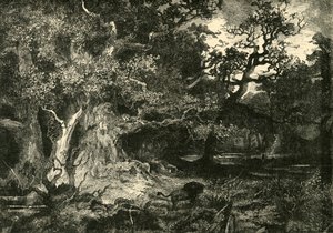 Een oud Duits bos, 1890 door Unbekannt