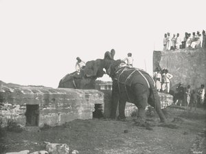 Een olifantengevecht, Hyderabad, India, 1895 door Unbekannt