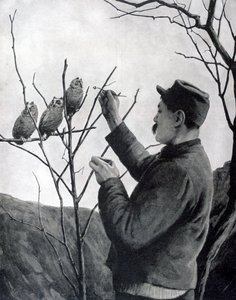 Een originele loopgraafdecoratie, Frankrijk, Eerste Wereldoorlog, 1915 door Unbekannt