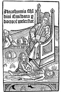 Anatomische demonstratie, 1493 door Unbekannt
