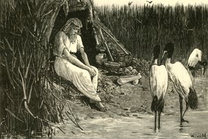 Anysis verborgen in de moerassen van de delta