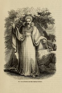 Aartsdruïde in zijn volledige gerechtelijke kostuum Uit het boek Oud Engeland: Een Picturaal Museum, 1845 door Unbekannt